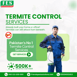 Termite Control in Pakistan – Professional Termite Control Services